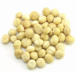 Macadamia Nuts